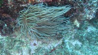 img_0049.jpg